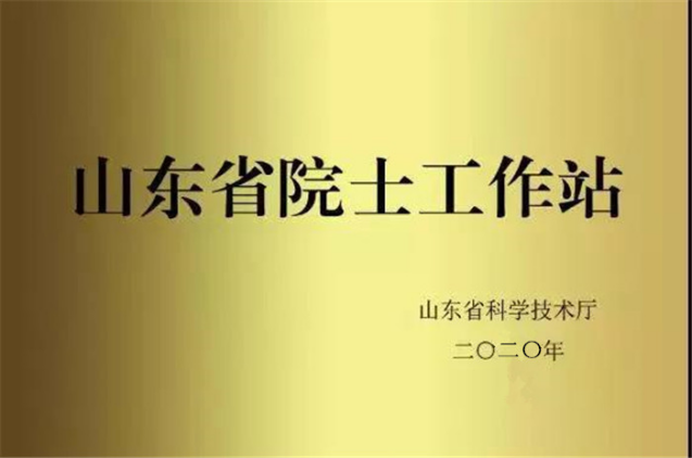 山東省院士工作站