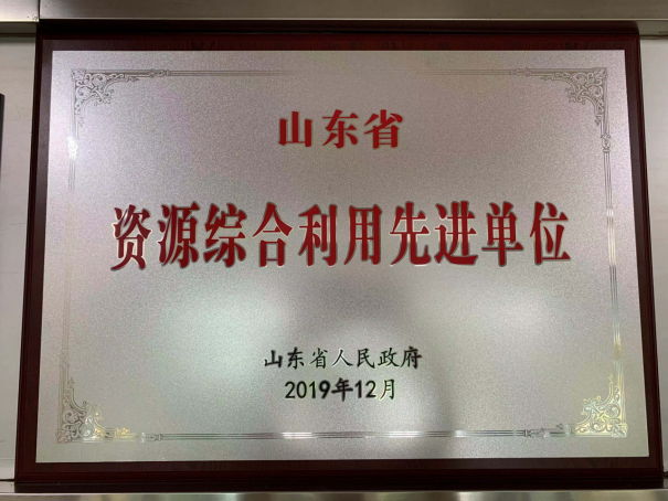 山東省資源綜合利用先進單位